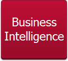 Business<br />Intelligence